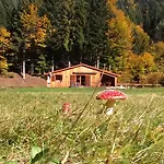 Au Bord Du De Longemer Ксорюпт-Лонжме