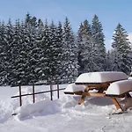 Au Bord Du De Longemer Шале