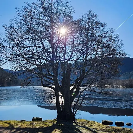 شاليه Au Bord Du De Longemer