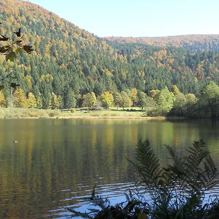 Au Bord Du De Longemer Xonrupt-Longemer