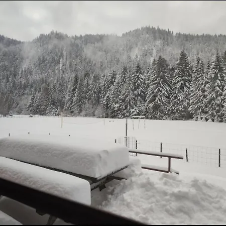 Au Bord Du De Longemer *