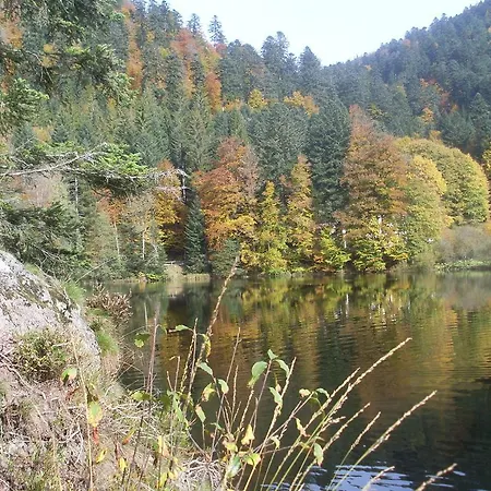 Au Bord Du De Longemer Domek alpejski *