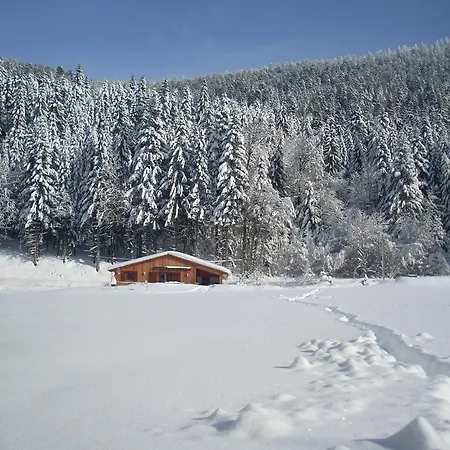 Au Bord Du De Longemer *
