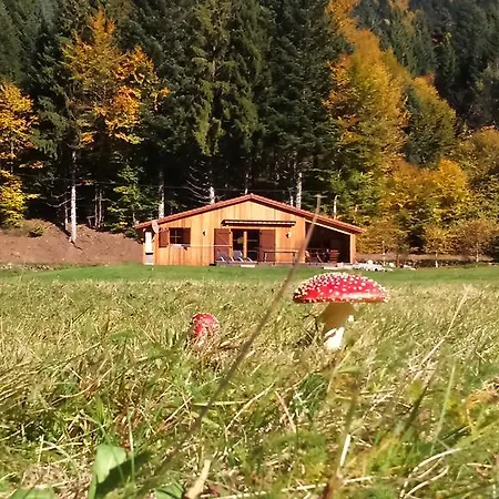 Au Bord Du De Longemer كسونبورت-لونجمير