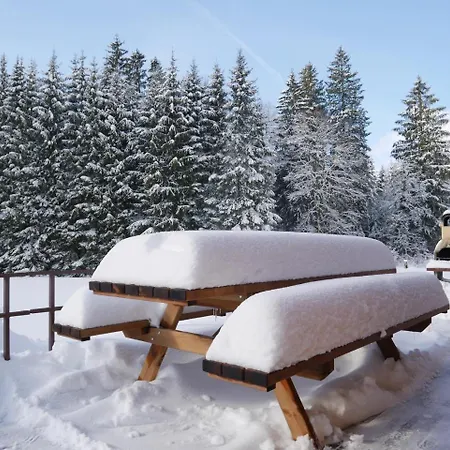 Chalet Au Bord Du De Longemer *