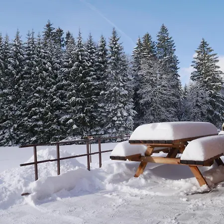 Au Bord Du De Longemer Chalet