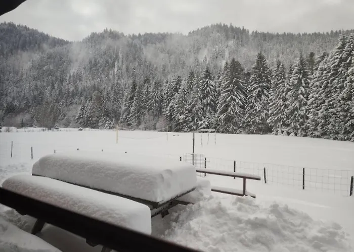 Au Bord Du De Longemer *