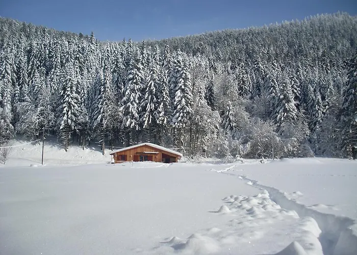 Au Bord Du De Longemer *