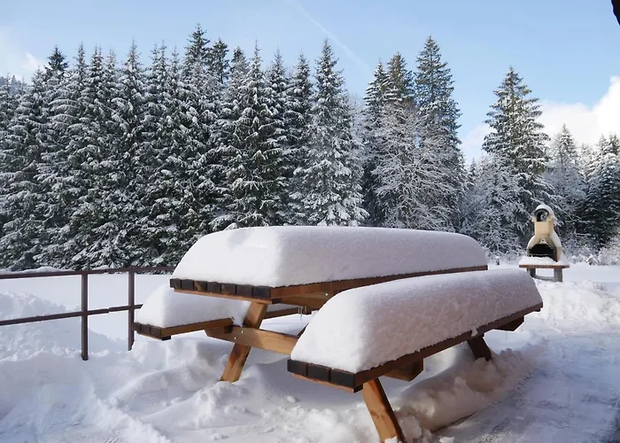 Horská chata Au Bord Du De Longemer *