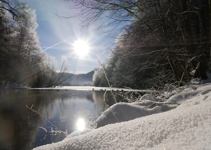 Au Bord Du De Longemer Horská chata