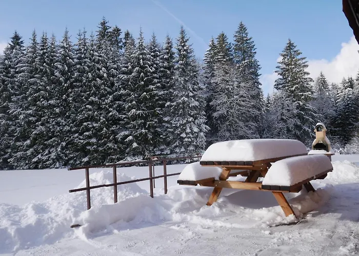 Au Bord Du De Longemer Horská chata
